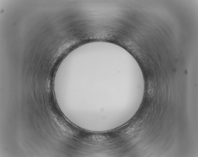 X0000089370636200707061115