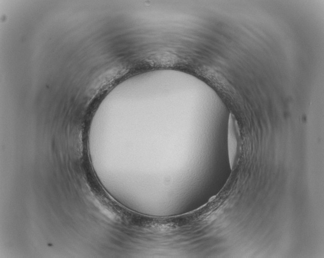 X0000089370638200707061115