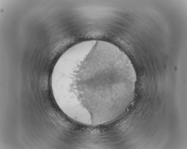 X0000089370640200707061115