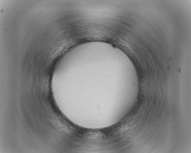 X0000089370642200707061115