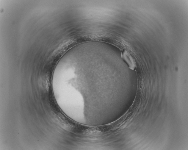 X0000089370644200707061115