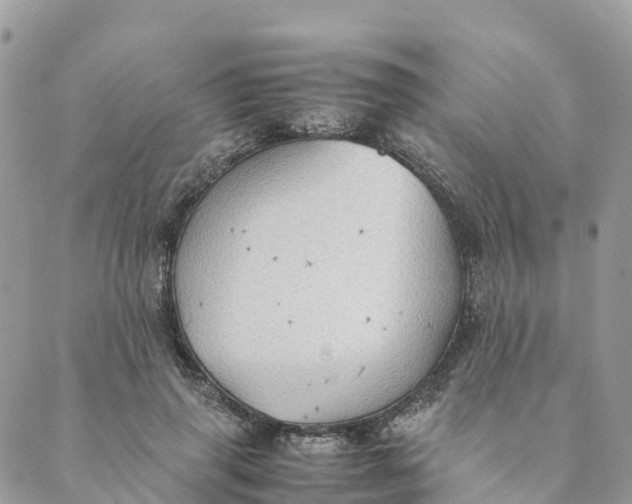 X0000089370645200707061115