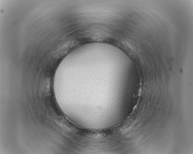 X0000089370646200707061115