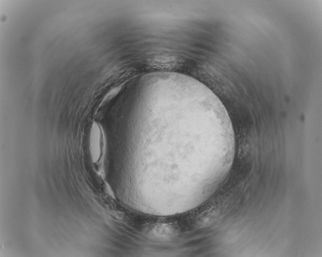 X0000089370647200707061115