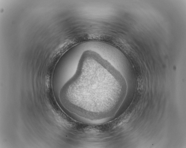 X0000089370648200707061115