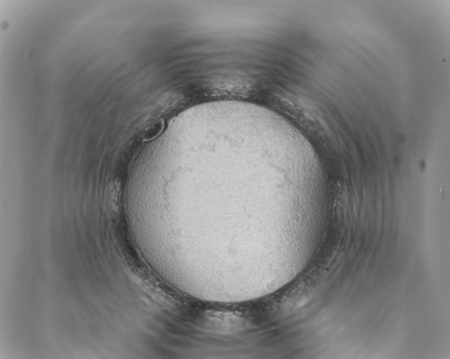 X0000089370649200707061115