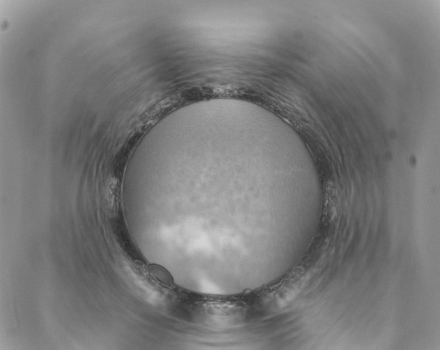 X0000089370650200707061115