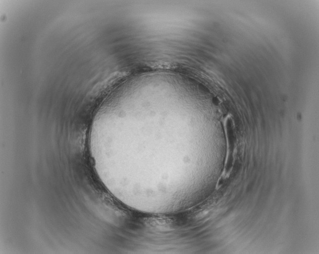 X0000089370652200707061115