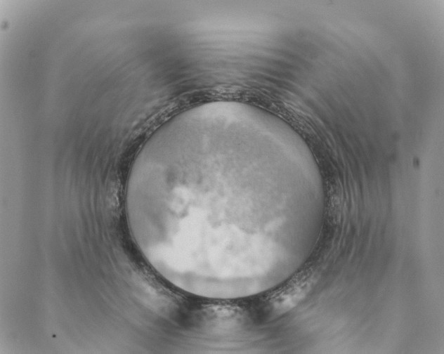 X0000089370654200707061115