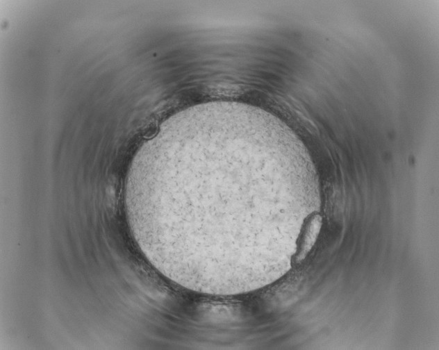 X0000089370655200707061115