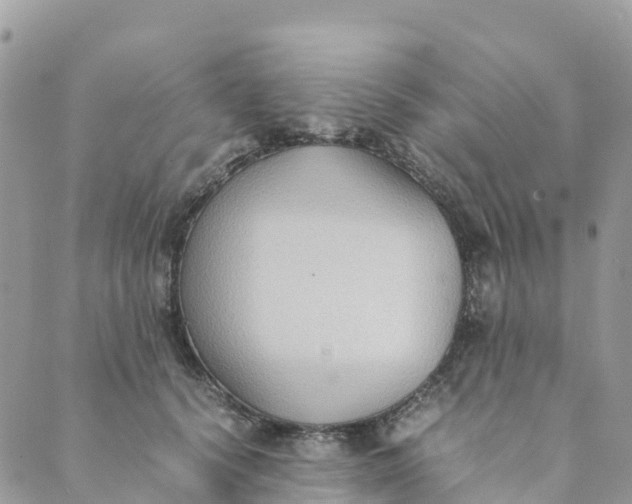 X0000089370656200707061115