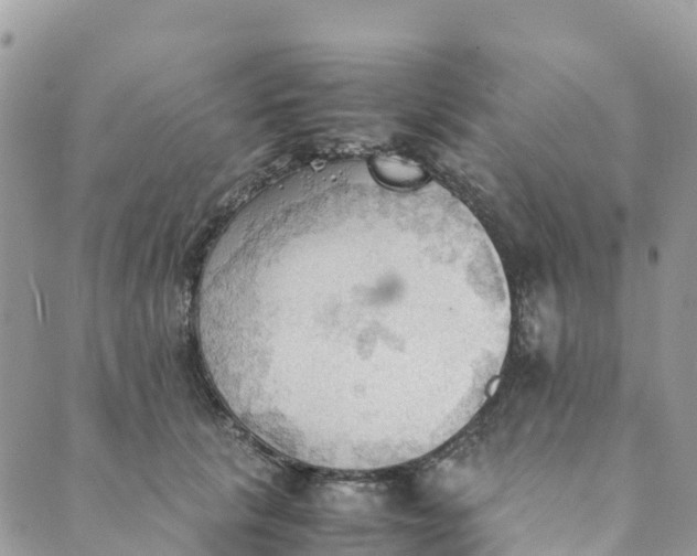 X0000089370657200707061115