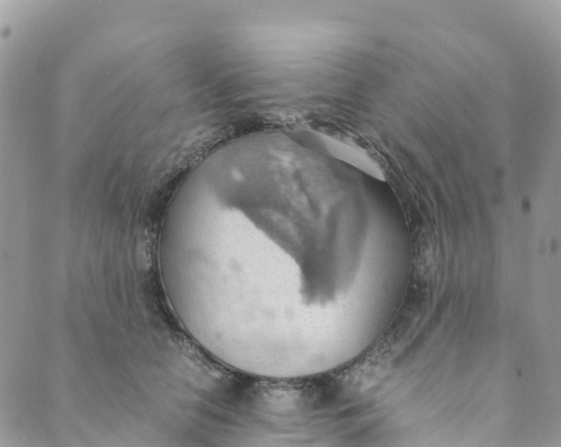 X0000089370658200707061115