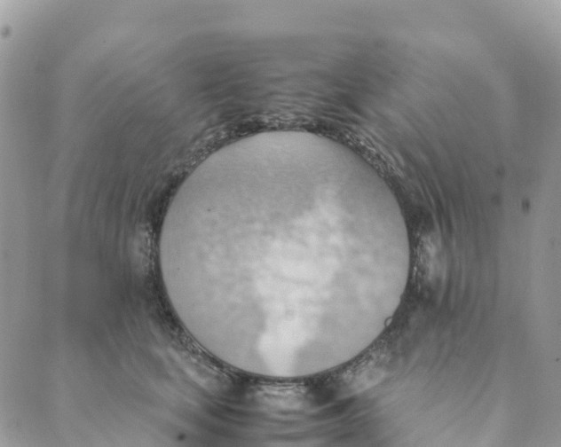 X0000089370659200707061115