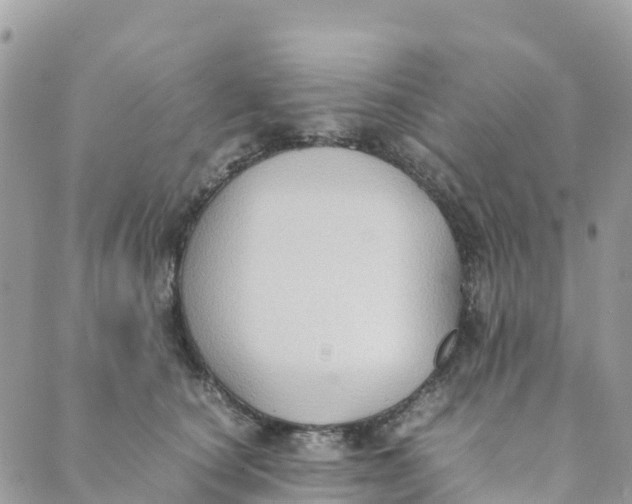 X0000089370660200707061115