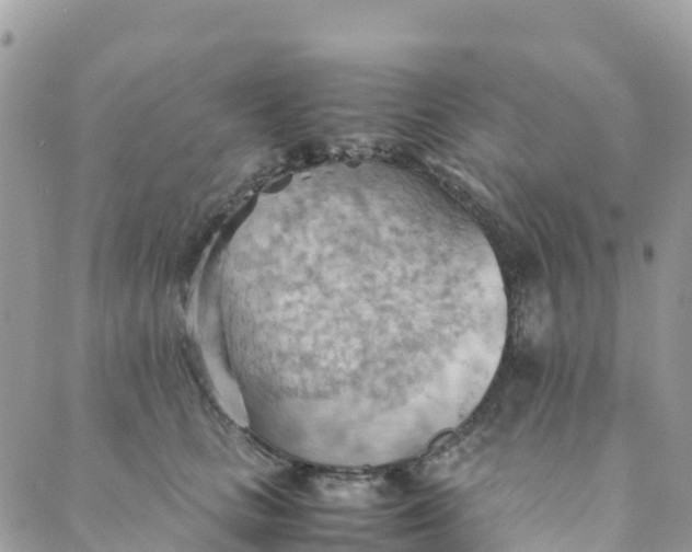 X0000089370661200707061115