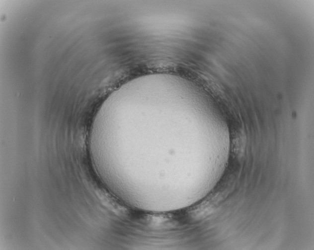 X0000089370662200707061115