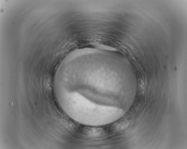 X0000089370663200707061115