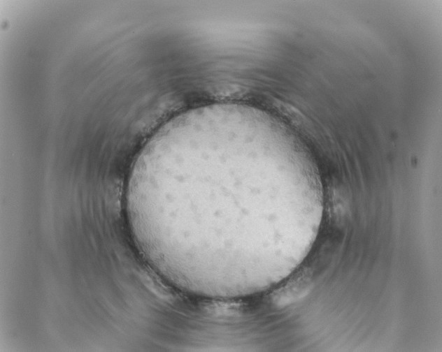 X0000089370664200707061115