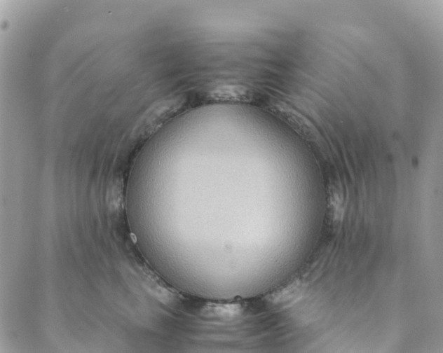 X0000089370665200707061115