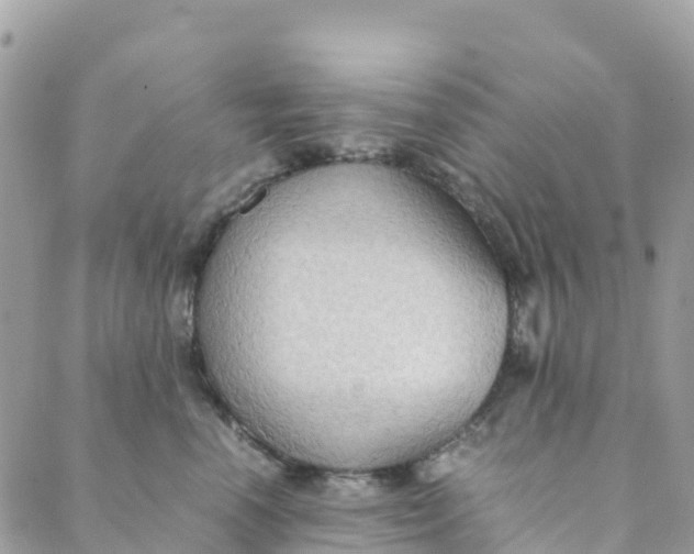 X0000089370666200707061115