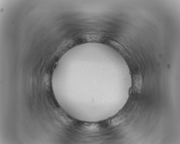 X0000089370667200707061115