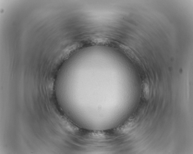 X0000089370668200707061115