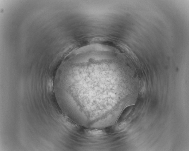 X0000089370669200707061115