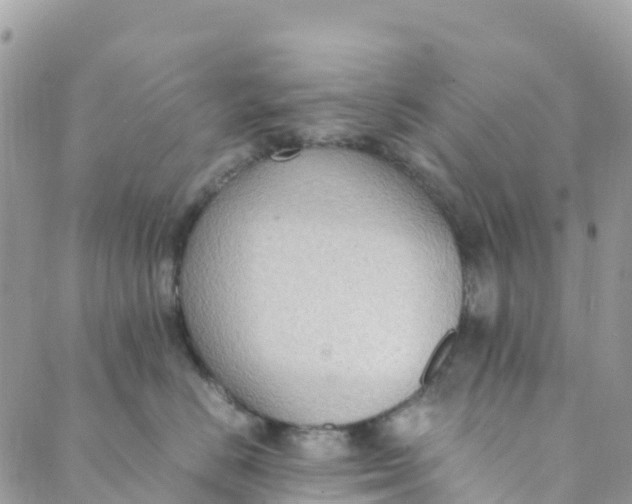 X0000089370670200707061115