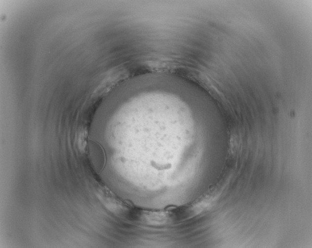 X0000089370671200707061115