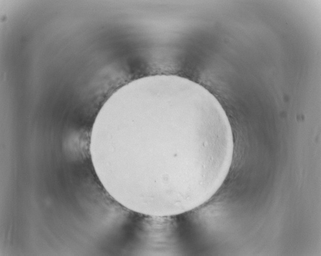 X0000089370672200707061115