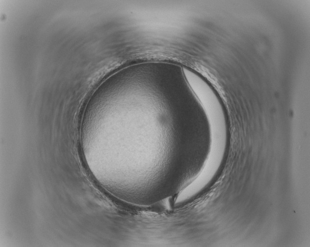 X0000089370673200707061115