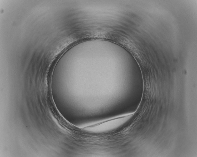 X0000089370674200707061115