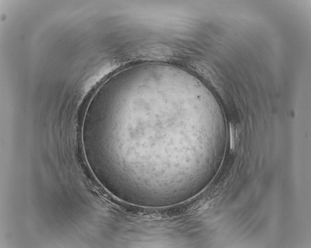 X0000089370675200707061115