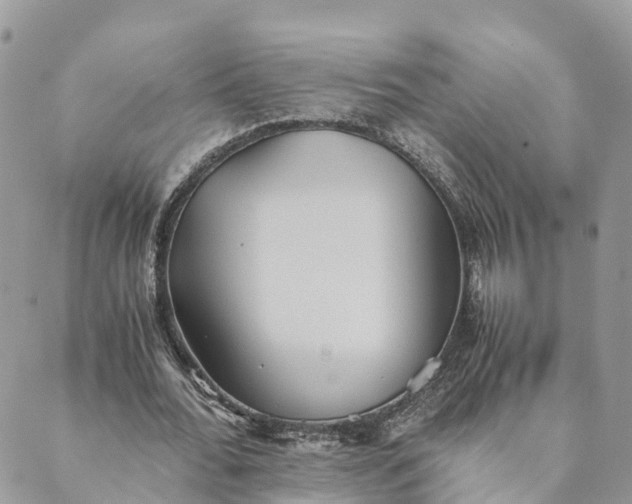 X0000089370676200707061115