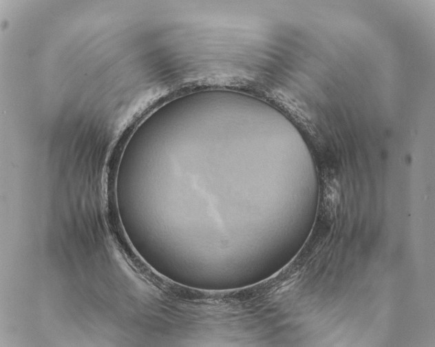 X0000089370678200707061115