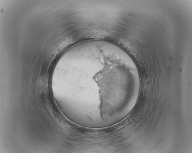 X0000089370679200707061115