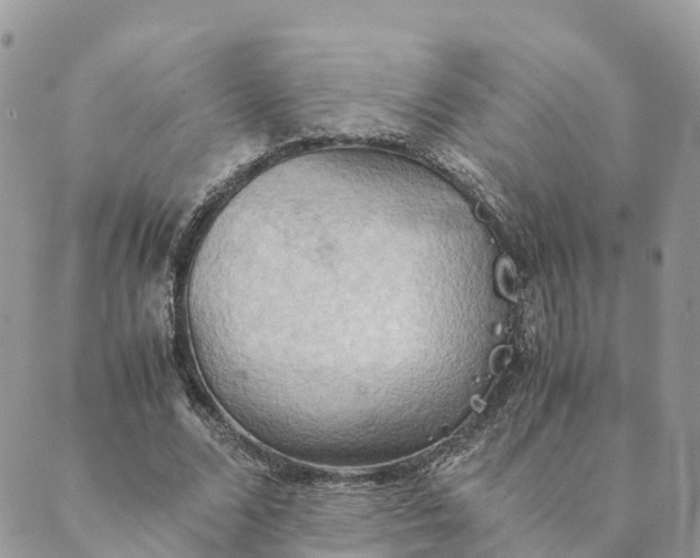 X0000089370680200707061115