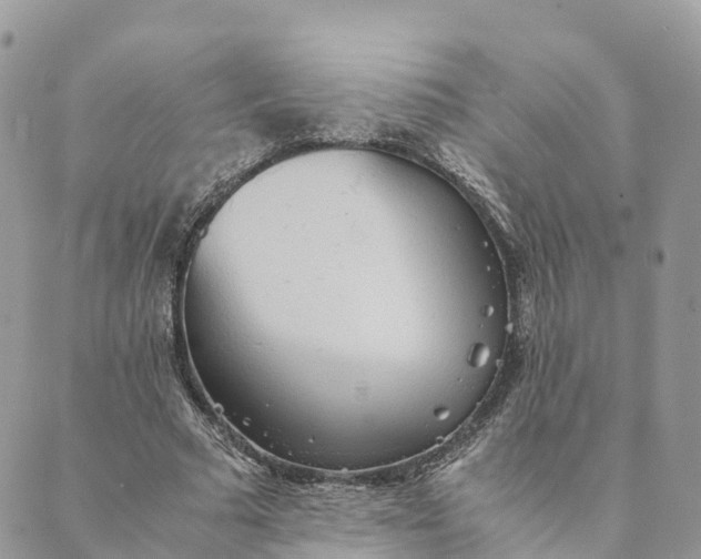 X0000089370681200707061115