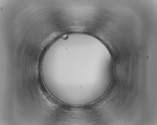 X0000089370682200707061115