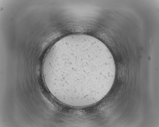 X0000089370683200707061115