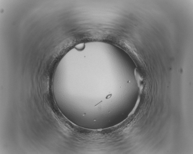 X0000089370685200707061115