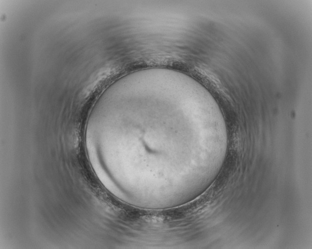 X0000089370687200707061114