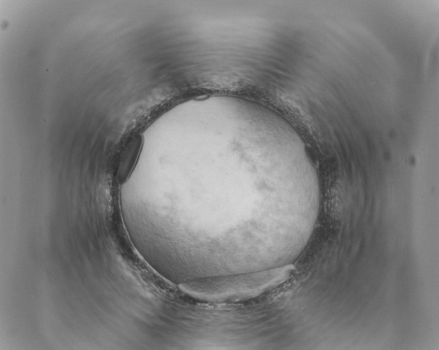 X0000089370688200707061114