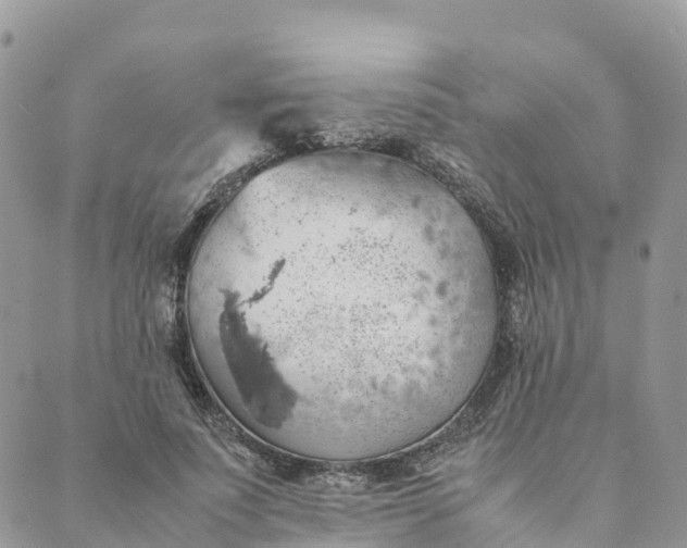 X0000089370691200707061114