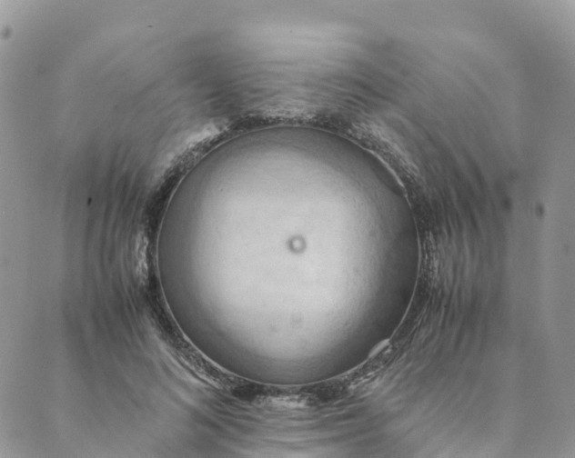 X0000089370692200707061114