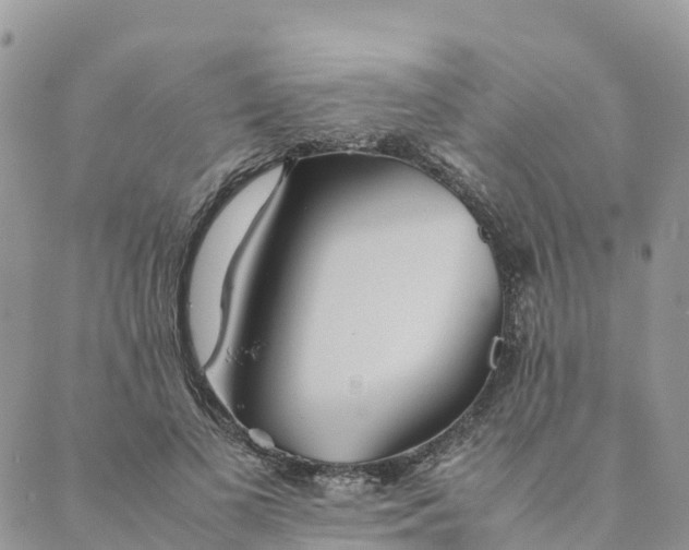 X0000089370693200707061114