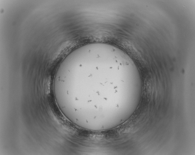 X0000089370694200707061114