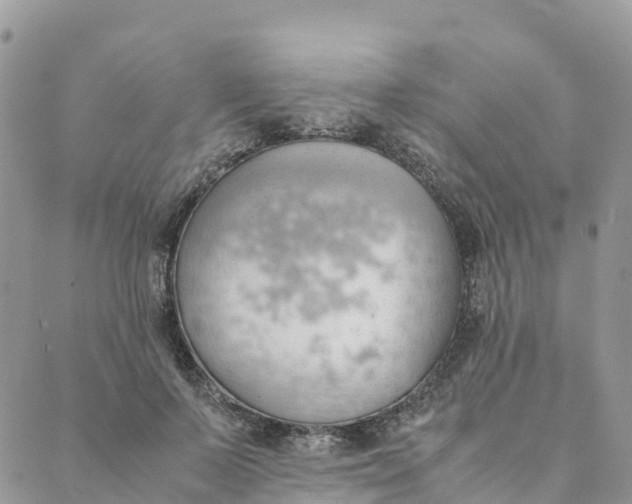 X0000089370695200707061114