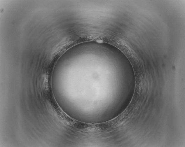 X0000089370696200707061114